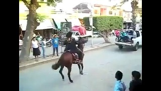 Лошадь решила сделать сальто
