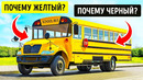 Вот почему школьные автобусы в некоторых странах в основном желтые