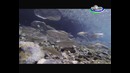 Ecopark Biodiversity of Uzbekistan