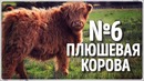 10 Удивительных Животных, о Существовании Которых вы Не Подозревали