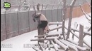 Вот это панды, гы гы гы