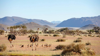 Sir David Attenborough on the Planet Earth series | PlanetEarth III | BBC Earth