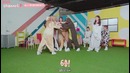 PRISTIN Channel ׃P EP. 2 [рус. саб]