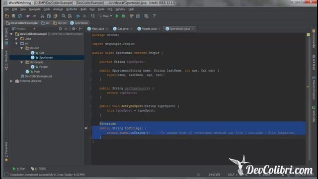 Java SE- Урок 23. Полиморфизм