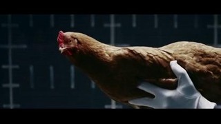 Танцующие курицы в веселой рекламе Mercedes-Benz