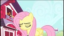 Мои маленькие пони: 4 Сезон | 7 Серия – «Летучие мыши!» (Rus Dub / 480p)