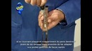 Электромеханические защелки