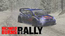 RBR, Vargassence, VW Polo WRC 2016 (NGPhysics 6.4.7, wheel)