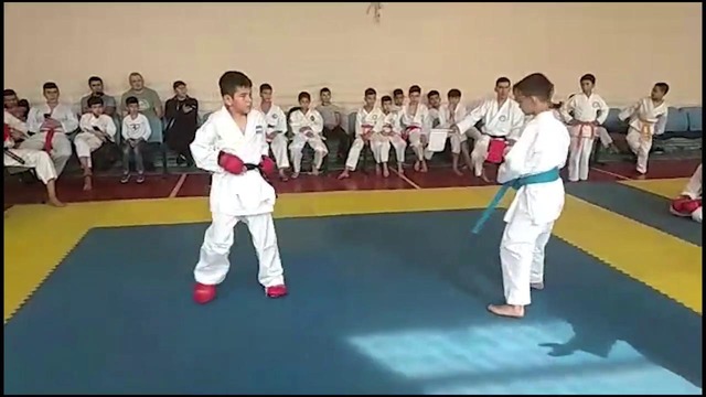 Zamin team karate