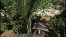 ARK Survival Evolved (Одиночка) #36