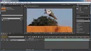 Базовый курс по Adobe After Effects. Урок № 8. Работа со временем