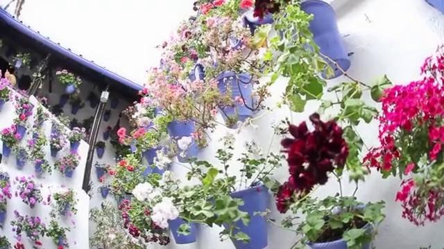 Córdoba, España
