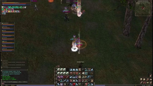 Lineage 2 Classic by eoL69 – Zerg TM- pvp oly