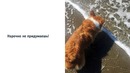Перфекционисты будут в восторге от этих картинок