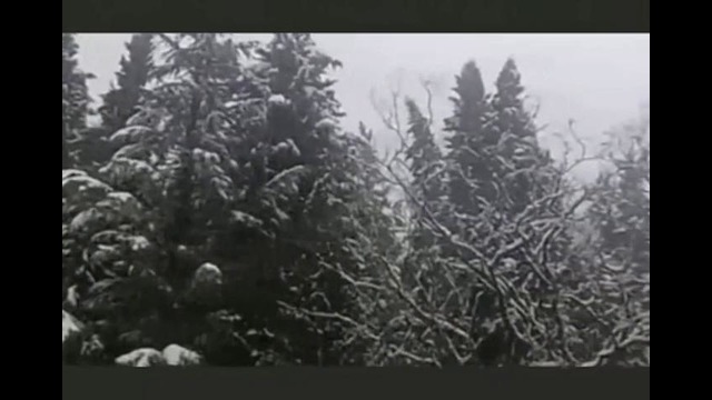 Musiqa Ob-havo ma’lumoti