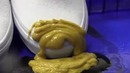 Neverwet водоотталкивающий спрей