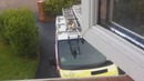 9 Lives Parkour Cat