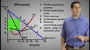 Micro-43: Monopoly Graph Review and Practice