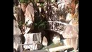 Жизнь в Корее – Горячие источники Chirisan Spa Land