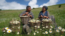 Chamomile Harvest – Preserving Summer for Winter