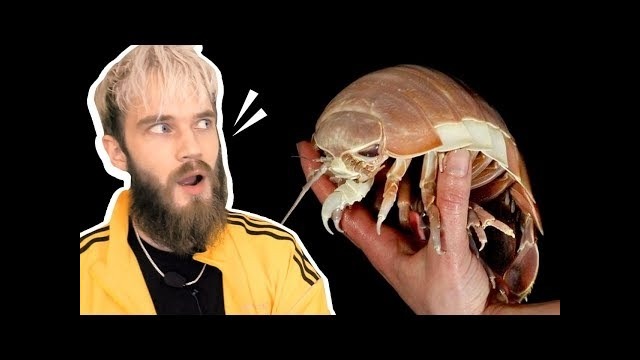 Is it Isopod Hour Yet (Meme Review) – PewDiePie