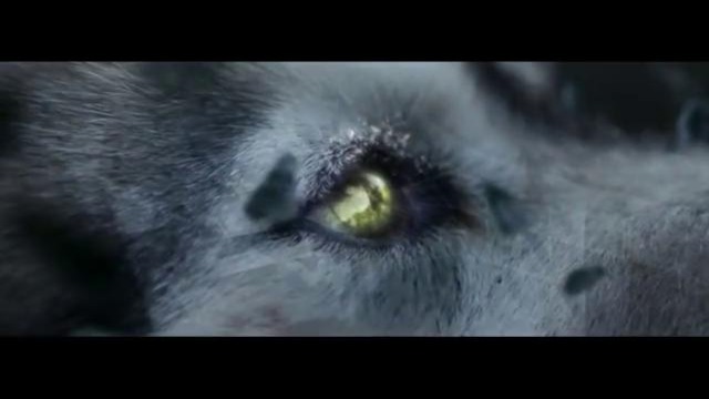 David Guetta – She Wolf (Falling To Pieces) ft. Sia – YouTube 2