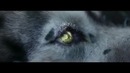 David Guetta – She Wolf (Falling To Pieces) ft. Sia – YouTube 2