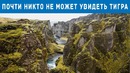 Спорим, ты не сможешь найти все спрятанные предметы на картине
