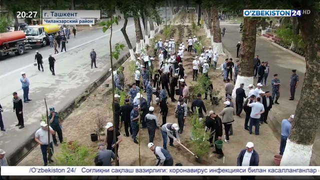 В Чиланзарском районе сотрудниками МВД было высажено около 2000 саженцев деревьев