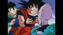 Dragon Ball Z – 250 Серия