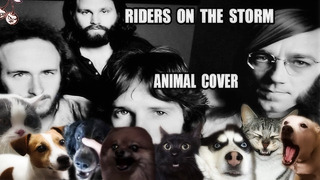 The Doors – Riders On The Storm (Animal Cover)
