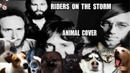 The Doors – Riders On The Storm (Animal Cover)