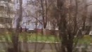 Бесплатная мойка