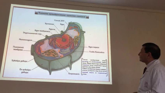 1 курс. Медицинская биология. Характеристика жизни. Введение в биологию. Биология клетки. Митоз и мейоз. Занятие №1