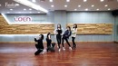 FIESTAR Mirror Dance Practice