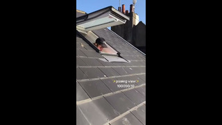 Зачем в городах Европы делают окна в крышах