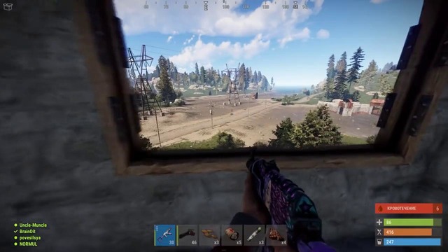 TheBrainDit ►RUST ● Знакомьтесь, Виталька! #43