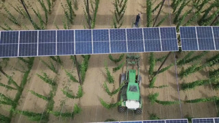 Солнечные панели на грядках установил немецкий фермер, чтобы заработать больше