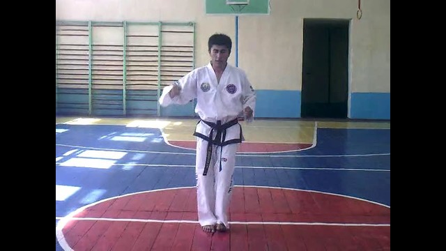 Taekvon-do gtf tornado team