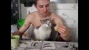 Котяра требует свой обед