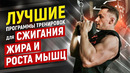 ЛУЧШИЕ ПРОГРАММЫ ТРЕНИРОВОК ДЛЯ СЖИГАНИЯ ЖИРА И РОСТА МЫШЦ В ТРЕНАЖЕРНОМ ЗАЛЕ
