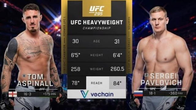 UFC 295: Павлович VS Аспинэлл