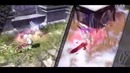 Dragon Nest PvP: YangYang MaxCombo vol3
