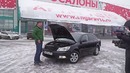 Skoda Octavia. Неубиваемая