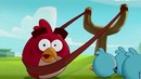 Angry Birds Toons. 11 серия – “Slingshot 101”