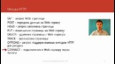 45. Протокол HTTP (Курс Компьютерные сети)