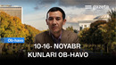 O‘zbekistonda 10-16-noyabr kunlari ob-havo qanday bo‘ladi? Gazeta sharhi| GAZETA