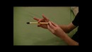 Flush Sonic (Tutorial)