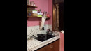 Funny animals – Funny cats / dogs – Funny animal videos 297