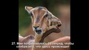 36 мощных оптических иллюзий, которые выглядят как галлюцинации